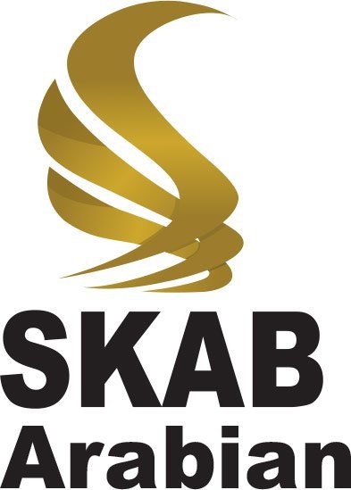 متجر سهل شوب للطباعة اونلاين في السعودية skab.jpg