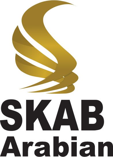 skab